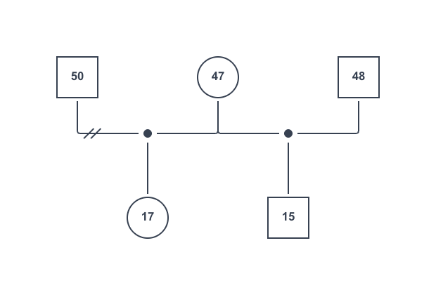ジェノグラムでの連れ子の表現方法